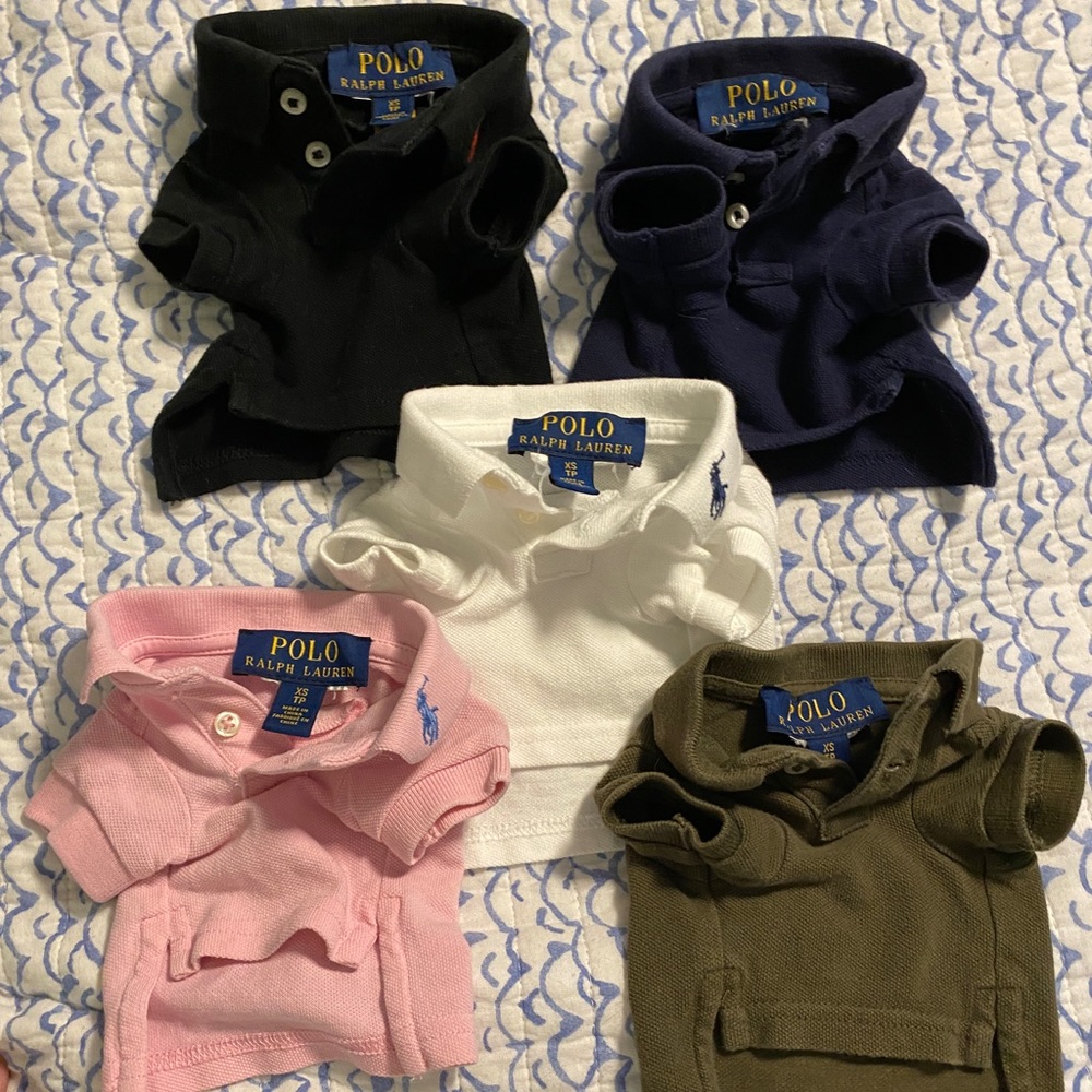 Five Polo by Ralph Lauren Dog Shirts Size XS
